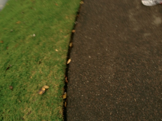 IMG_0648.jpg IMG 0648